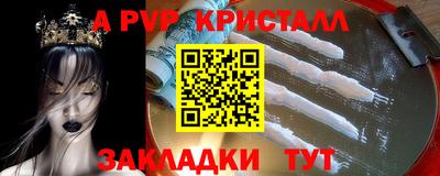 шишки Волгодонск
