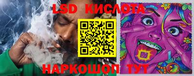 шишки Волгодонск