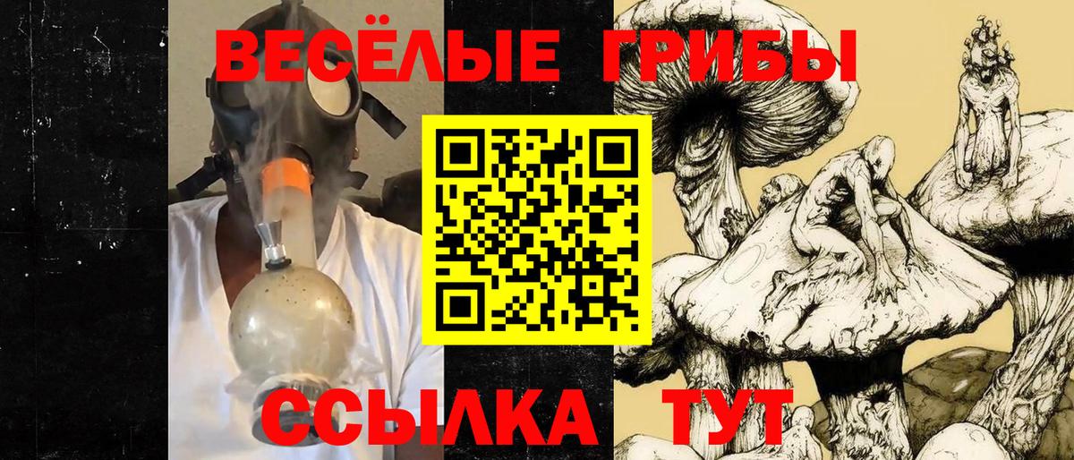 Наро-Фоминск  Галлюциногенные грибы Psilocybine cubensis  Псилоцибиновые грибы прущие грибы  Вход с VPN 
