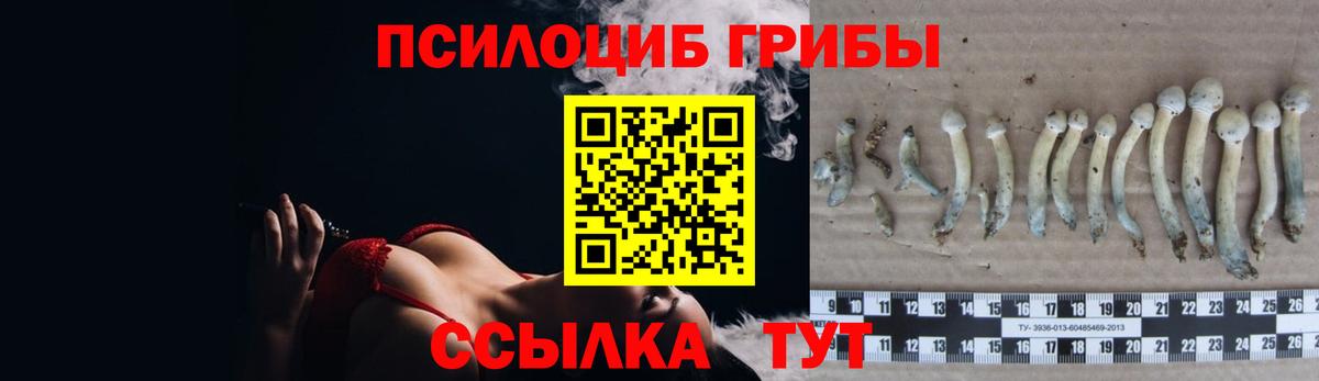Галлюциногенные грибы GOLDEN TEACHER Наро-Фоминск